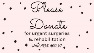 Please donate to MEND
